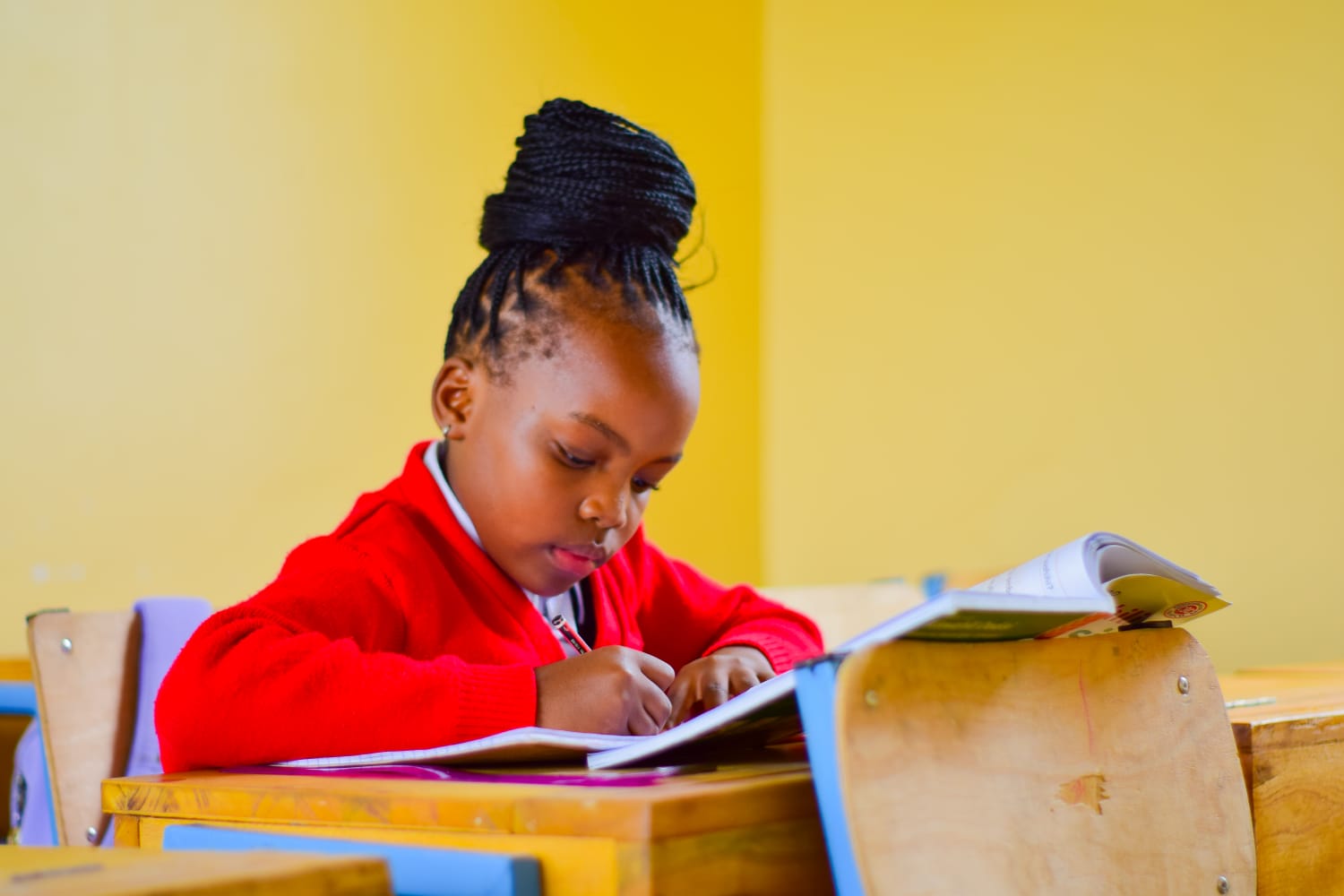 Girl reading